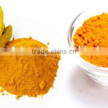 Premium Turmeric Powder Bulk Supplier photo-2