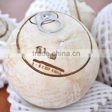 Coconut Water photo-2