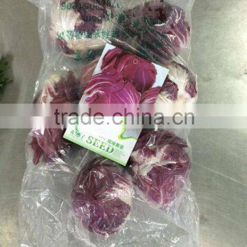 Fresh Radicchio photo-2