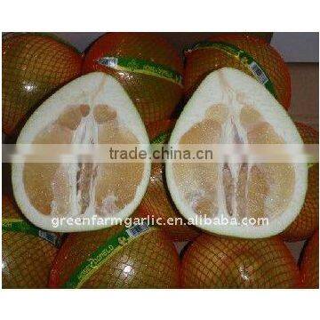 Chinese Honey Pomelo