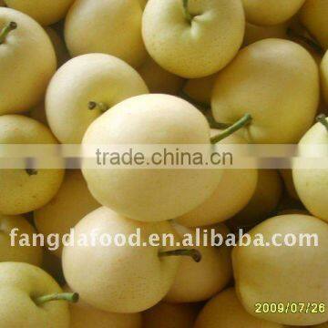 Fresh big Ya pear low price high quality from china