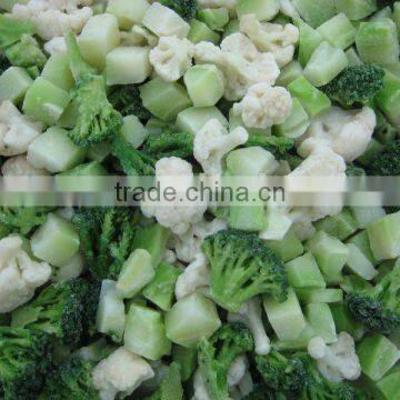 supply IQF Winter Vegetable Blend