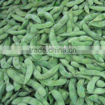 2015 New season Frozen soybean