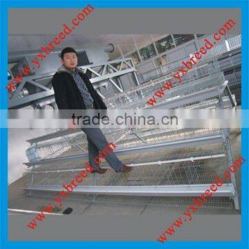 Best price automatic egg chicken layer poultry cages