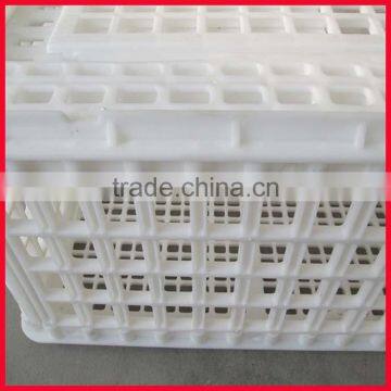 Chicken Transport Trays photo-5