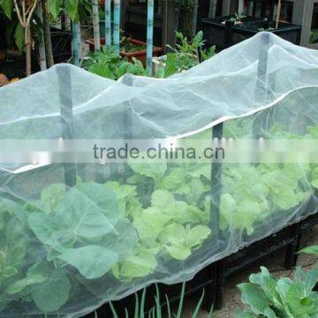 PP,PE,HDPE,NYLONE material for vegetable protection anti-bird net