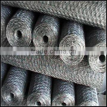 Twist Hexagonal Wire Netting photo-3
