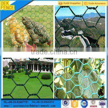 Best Selling Bv Compny Green Pvc Coated Malla Hexagonal