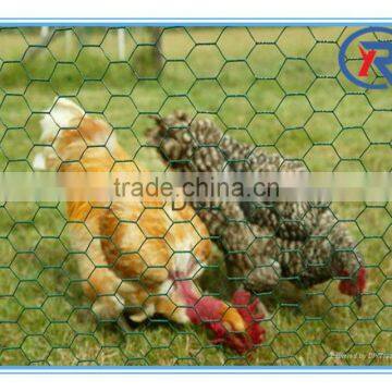 PVC Coated Hexagonal Wire Mesh/Plastic Coated Hexagonal Wire Mesh made in china