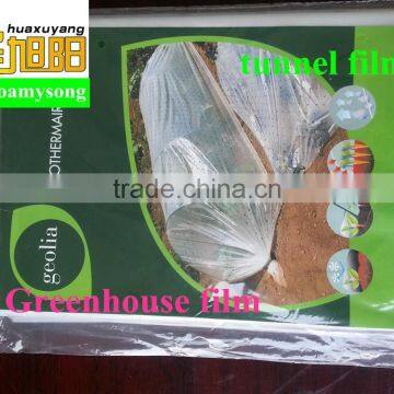 PE agricultural plastic Greenhouses film kit tunnel for vegetable used in garden