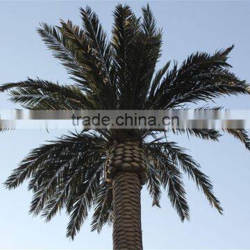 SJ07011102 Wholesale tree leave outdoor/High initation plam tree leave/decorative palm leaves