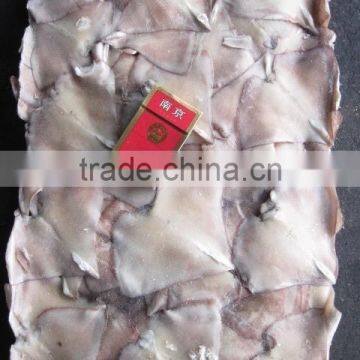 Frozen Gaint Sqiud Wing photo-4