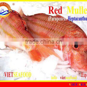 WHOLE FROZEN RED MULLET