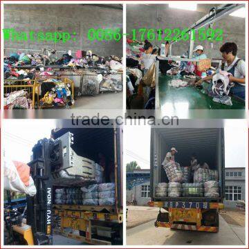 Cheap Latest Well Sorted Used Clothes With High Quality photo-3