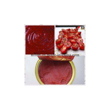 Best-Selling Tomato Paste Ketchup (18%-30%)
