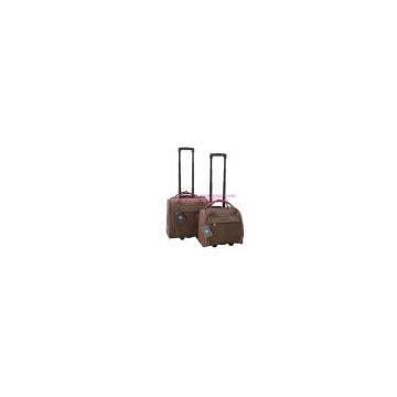 carry-on trolley luggage
