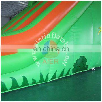 2017 Aier Crazy Hot! Double Stitching Commercial Grade Forest Inflatable Water Slide photo-6