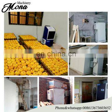 Good Performance Small Herb Dryer/pine Nuts Microwave Drying Machine photo-5