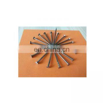 Building Common Wire Nail Construction Common Nail Iron Nails Factory