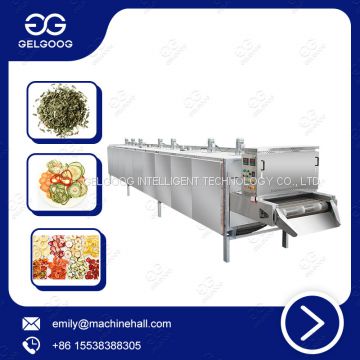 High Production Tea Dryer Fruit Drying Machine For Sale Mesh Belt Dryer