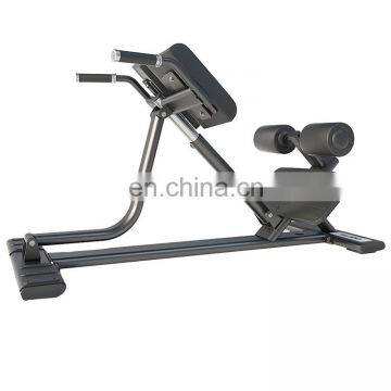 2020 New Commercial Benches Rack Back Extension Hot Sale Gym Fitness Equipment photo-4