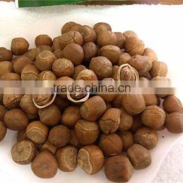 Special Grade Organic Natural Hazelnut