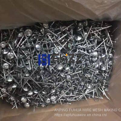 Zinc Coated Umbrella Head Roofing Nails photo-3