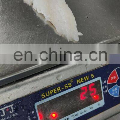Good Price Breaded Hoki Fish Fillet for Export photo-2