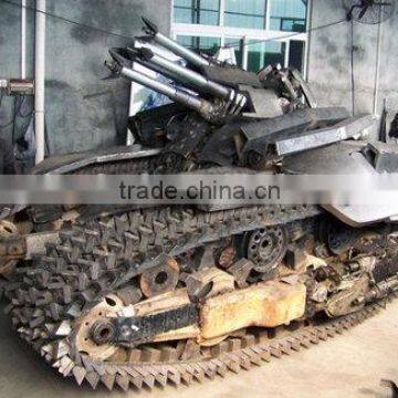 Garden Art Polished Stainless Steel Iron Car photo-5