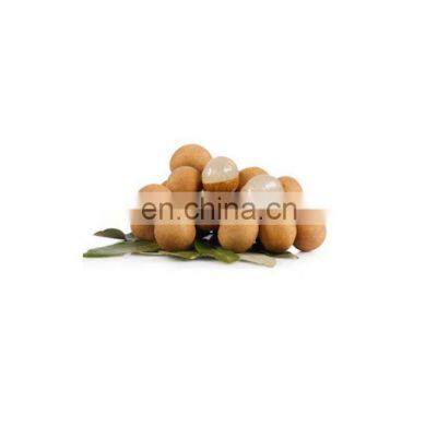 Wholesale 100% Pure Natural Longan Fruit Extract Powder