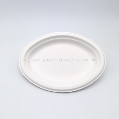 10 Inch Sturdy Greaseproof Microwavable Compostable Disposable Bamboo Fiber Restaurant Party Paper Plate Biodegradable photo-5