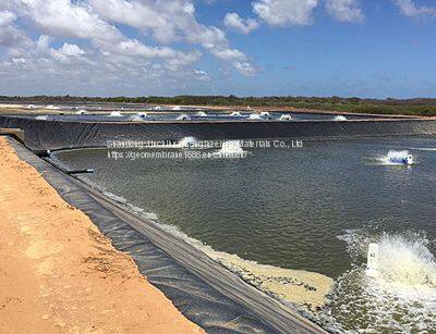 0.50mm Thick HDPE Geotextile Film for Raising Shrimp in High Water Ponds photo-5