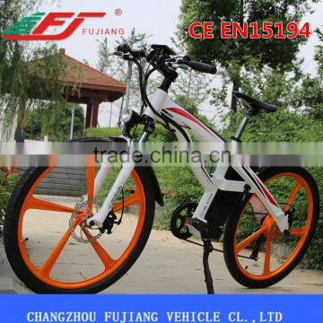 New Model FJ-TDE01 Cheap Electric Bike Kit China With CE EN15194 photo-6