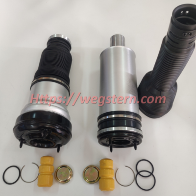 2203205013 Hot Selling Rear Air Spring for Mercedes Benz S Calss W220 Rear LH & RH 1999-2006