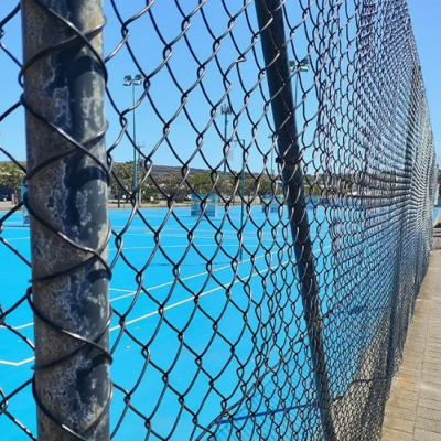 2.0-4.0mm Polyester Gabion Net Pet Ecological Gabion Net photo-5