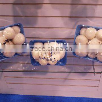Water Sucking Cost Saved Customized OEM Accepted New Style Keep Fresh Tray