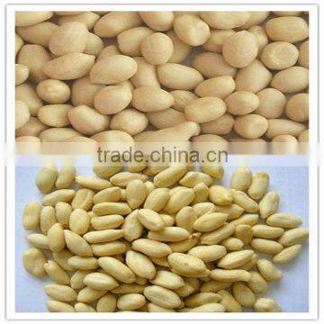 Blanched peanut kernels inChina