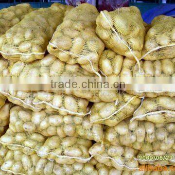 Sell 2012 new crop holland potato