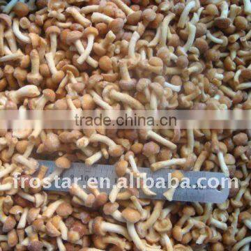 Chinese IQF Frozen Nameko