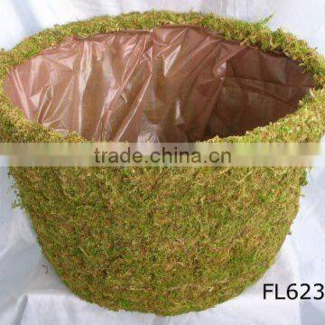 Natural Moss Flower Pot