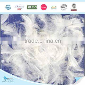 2-4cm~4-6cm Washed White Duck Feather photo-4