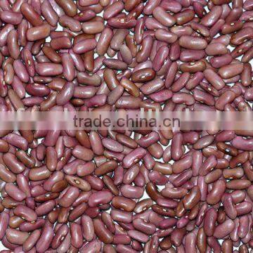 Light Red Kidney Beans
