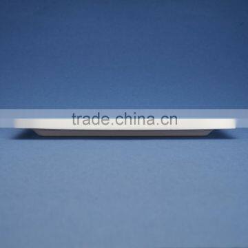 PL-10-05-R 10*5 Inches Sugercane Flate Rectangle Shape Dinner Plates Quality Choice photo-2