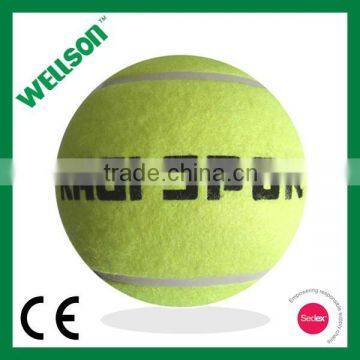 Autographic signed polyester covered tennis ball