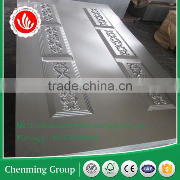 PPGI Steel door skin