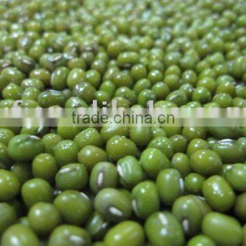 Chinese Green Mung Bean