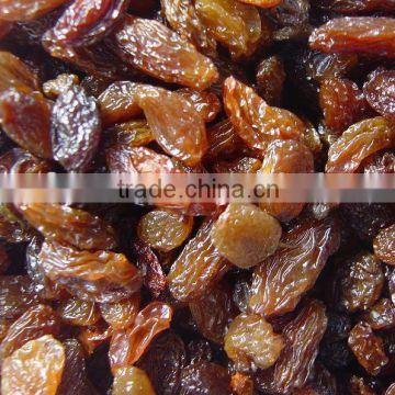 Brown Raisins sultana raisins white grape seedless raisin dried fruit snack fruit