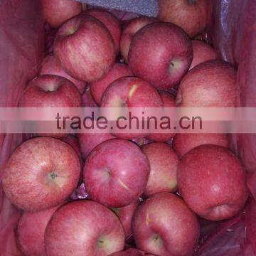 Fresh Apples photo-4