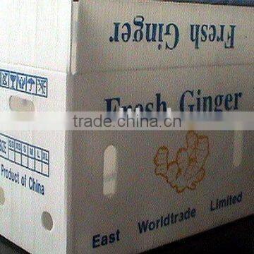 chinese fresh ginger