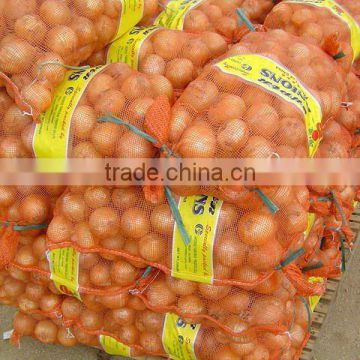 cold storage fresh onion from gansu